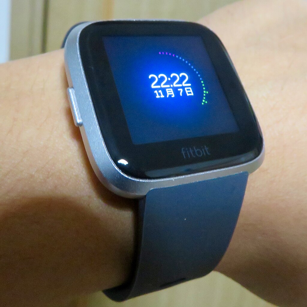 Fitbit Travel Time Zone